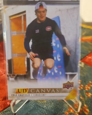 2022-23 Upper Deck Seires 2 Canvas #C166