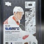 2017-18 Upper Deck Ice Sub Zero #SZ-69 Evgeny Svechnikov - Image 2