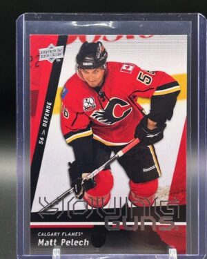 2009-10 Upper Deck Young Guns Series 1 #245 Matt Pelech