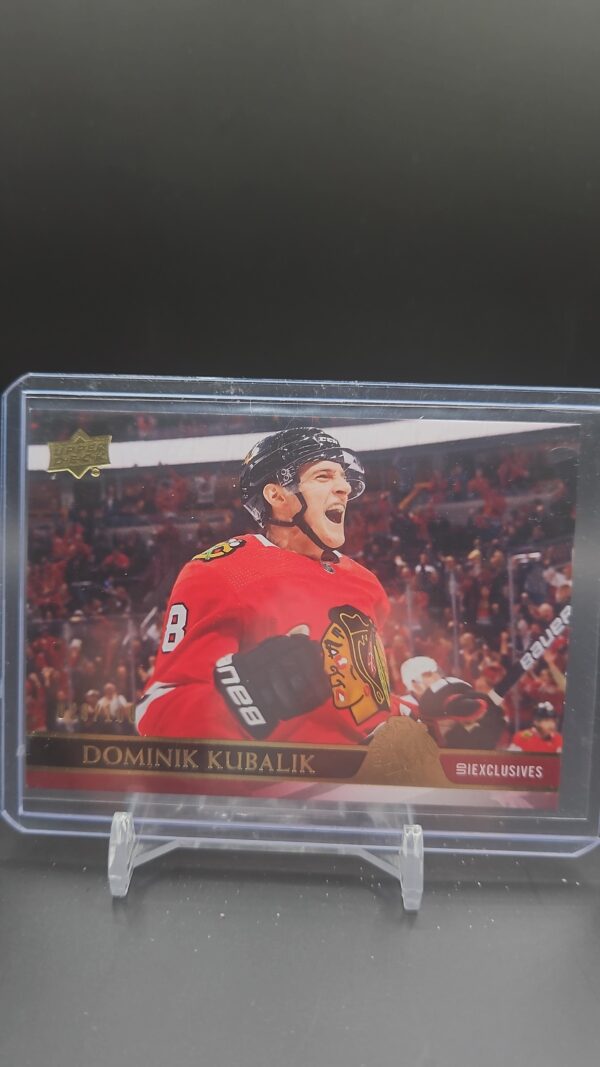 2020-21 Upper Deck UD Exclusives /100 Dominik Kubalik #294