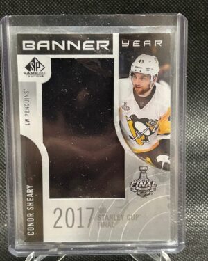 Conor Sheary, SPGU, 2017-18, Banner Year, Cup Finals, #BSC-CS, Pittsburgh Penguins