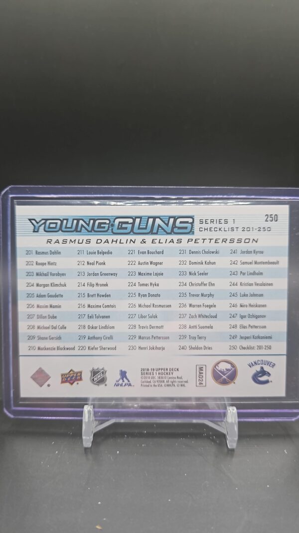 2018-19 Upper Deck Series 1 Young Guns Checklist PETTERSON & DAHLIN #250 RC - Image 2