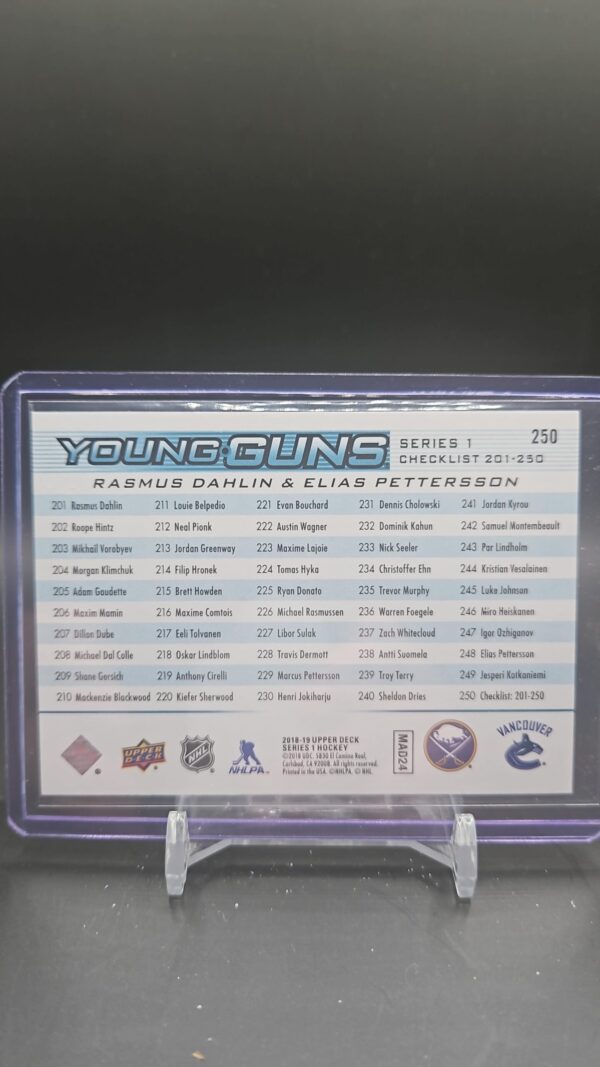 2018-19 Upper Deck Series 1 Young Guns Checklist PETTERSON & DAHLIN #250 RC - Image 2