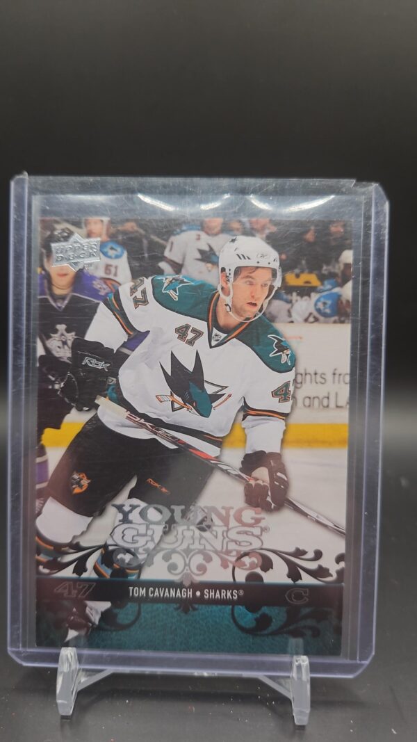 2008-09 Upper Deck Young Guns #492 Tom Cavanagh San Jose Sharks