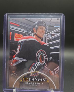 Dominik Kubalik 2021-22 Upper Deck Series 2 UD Canvas #C138