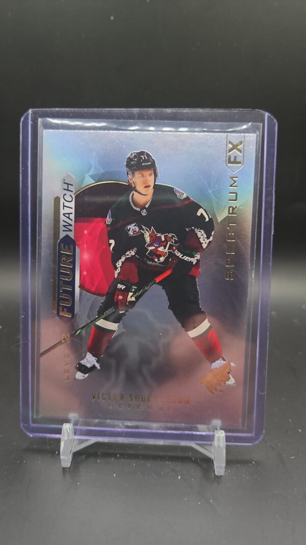 20/21 SPA Future Watch Spectrum FX Level 2 Victor Soderstrom