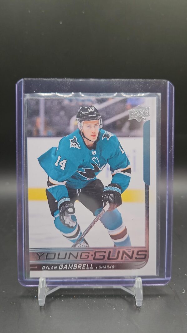 2018-19 Upper Deck Young Guns Dylan Gambrell #488