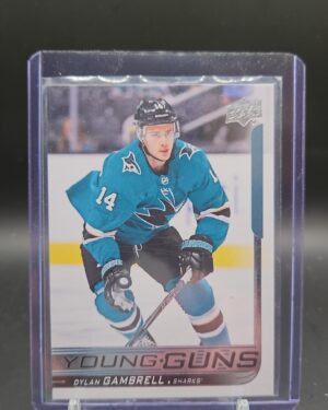 2018-19 Upper Deck Young Guns Dylan Gambrell #488