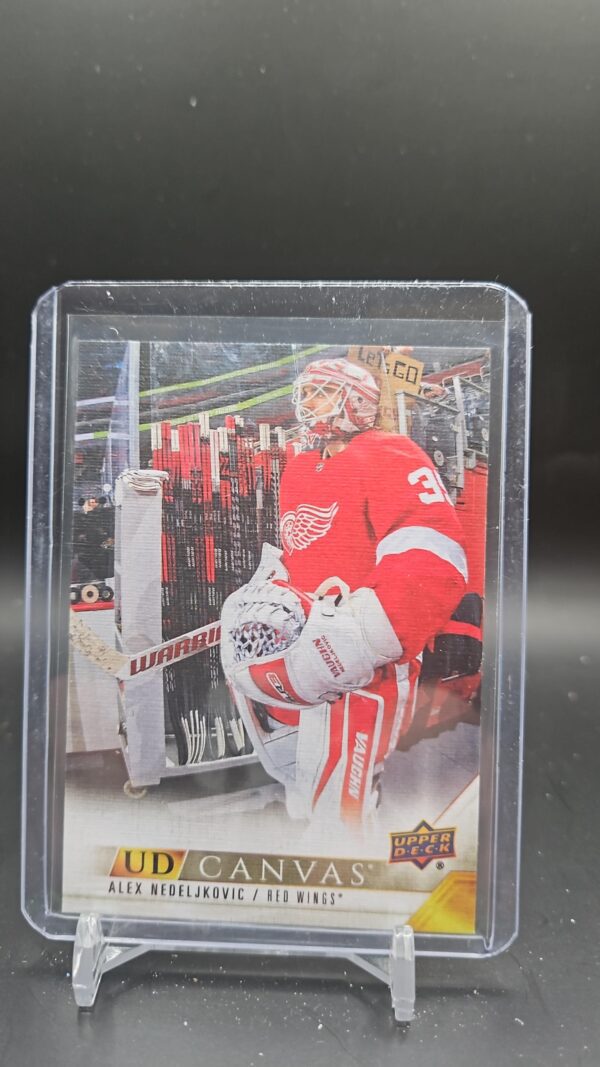 2022-23 Upper Deck Series 1 UD Canvas Alex Nedeljkovic #C31