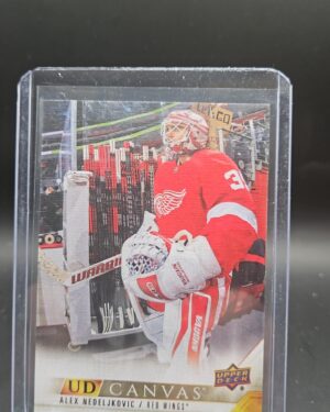 2022-23 Upper Deck Series 1 UD Canvas Alex Nedeljkovic #C31 NHL goalie hockey card