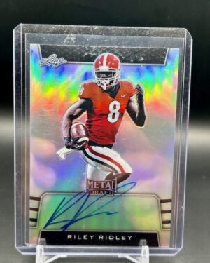 Leaf 2015 Metal Draft Riley Ridley Auto #PV-RR1