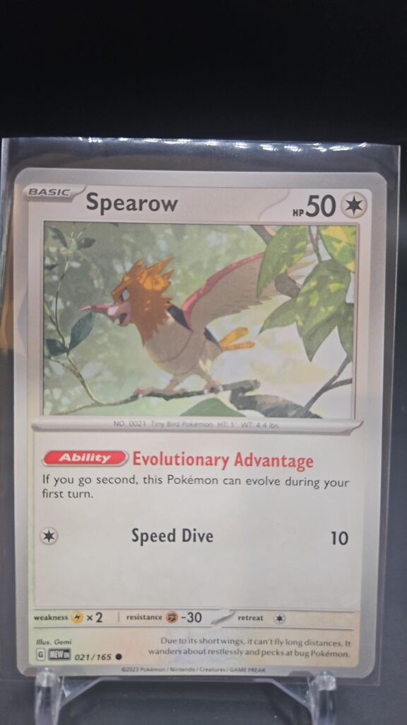Standard non-holo Spearow card from the Pokémon Scarlet and Violet 151 trading card game expansion set showing a silver border, Colorless-type icon, 50 HP, and Speed Dive attack.