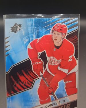 2018-19 SPx Rookie Dennis Cholowski #R-DC /349 Card