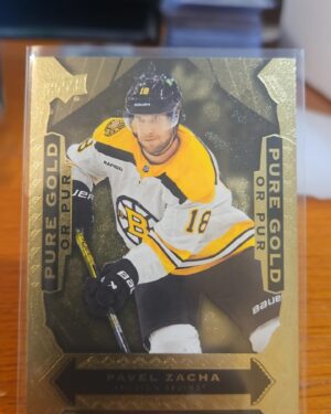 2024-25 Upper Deck Tim Hortons Pure Gold #PG-3 Pavel Zacha hockey card