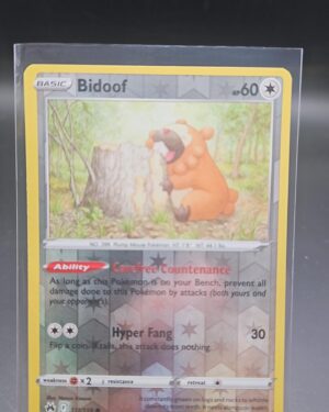 Bidoof 111/159 Reverse Holo Crown Zenith Pokemon Card - NM