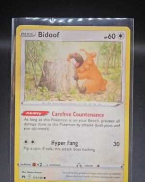 Bidoof 111/159 Common Sword & Shield Crown Zenith Pokemon Card 2023 TCG