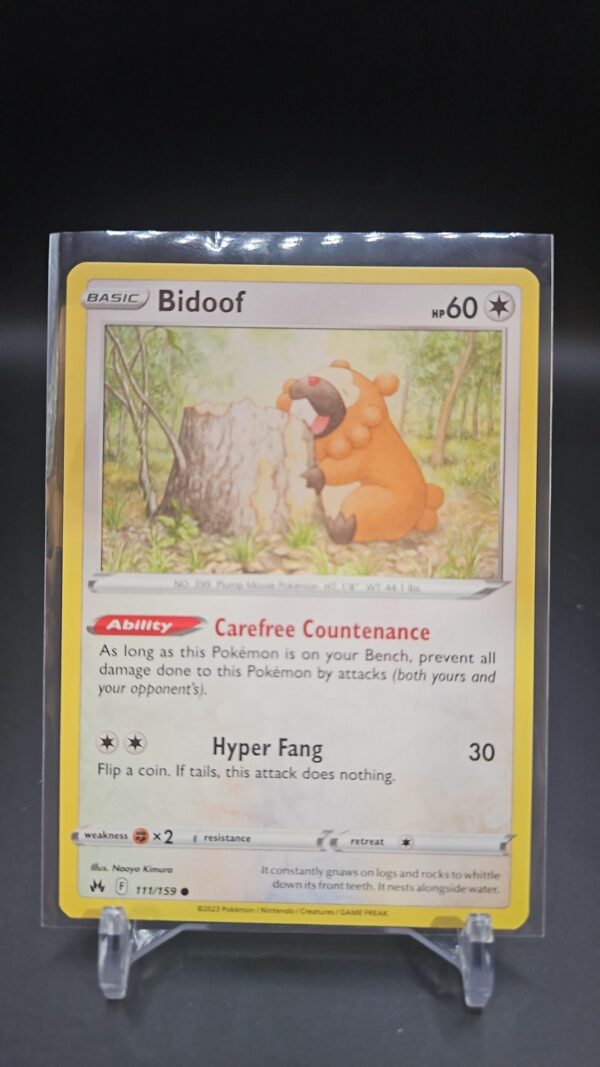 Bidoof 111/159 Common Sword & Shield Crown Zenith Pokemon Card 2023 TCG