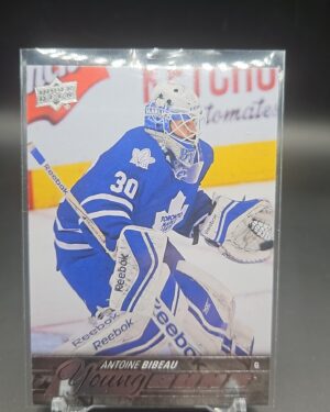 Antoine Bibeau, Young Guns, YG, 2015-16, Upper Deck, Series 2, Rookie Card, #240, Toronto Maple Leafs