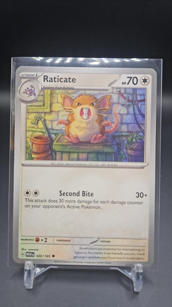 Front face of Raticate 020/165 Uncommon card from the English Pokémon Scarlet & Violet 151 base set