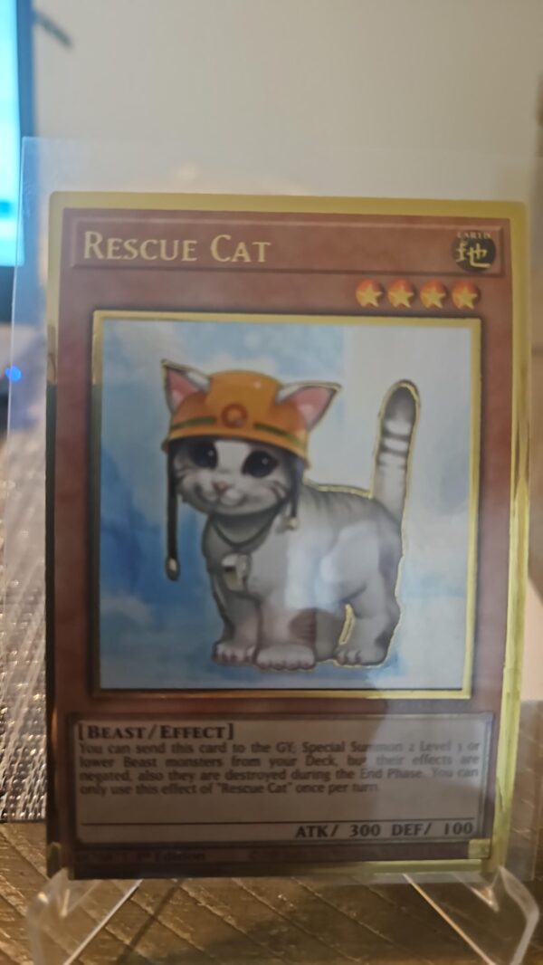 Yugioh! LP Rescue Cat - MGED-EN006 - Premium Gold Rare - 1st Edition