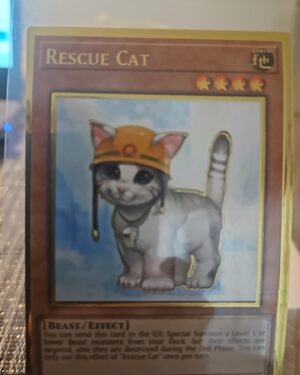 Yugioh! LP Rescue Cat - MGED-EN006 - Premium Gold Rare - 1st Edition