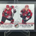 2020-21 Sp Authentic Future Icons Soderstrom/Hayton #118