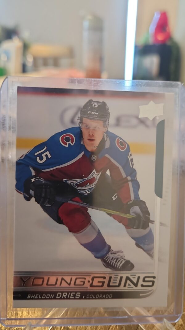 2018-19 Upper Deck Series 1 Young Guns YG Sheldon Dries RC Card# 240