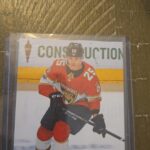 2017-18 Upper Deck  Henrik Haapala Young Guns Canvas #C231 Florida