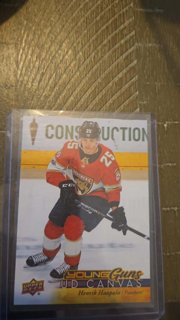 2017-18 Upper Deck  Henrik Haapala Young Guns Canvas#C231 Florida