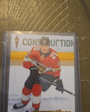 Henrik Haapala, Young Guns Canvas, 2017-18, Upper Deck, Series 2, Rookie Card, #C231, Florida Panthers