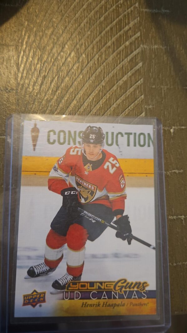 2017-18 Upper Deck  Henrik Haapala Young Guns Canvas #C231 Florida