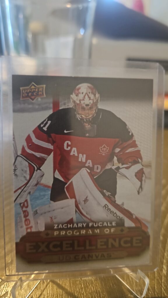 Zachary Fucale, UD Canvas, 2015-16, Program of Excellence, Rookie Card, #C266