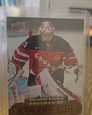 Zachary Fucale, UD Canvas, 2015-16, Program of Excellence, Rookie Card, #C266