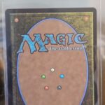 MTG Swamp (0287) Foundations Foil Full Art Foil Basic Land - Image 2
