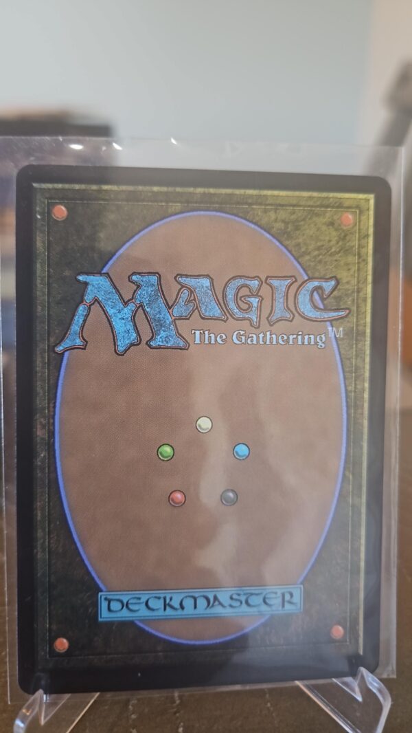 Healer's Hawk #142 Foil Foundations Magic the gathering MTG - Image 2