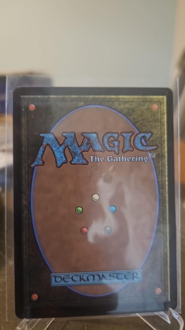 Thornwood Falls FDN Foundations Magic the gathering foil #269 - Image 2