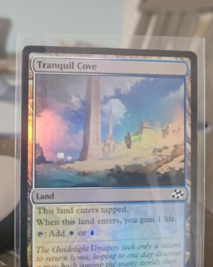 Magic: The Gathering Tranquil Cove #270 Foundations FOIL