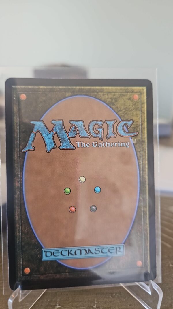 Willowrush Verge Borderless Aetherdrift Regular Magic The Gathering Magic Land Card #375 - Image 2