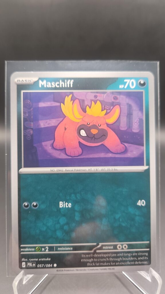 Maschiff 057/084 Base Common Pokémon card from the Mega Evolution Era Pitch Black ME05 set in Near Mint condition.