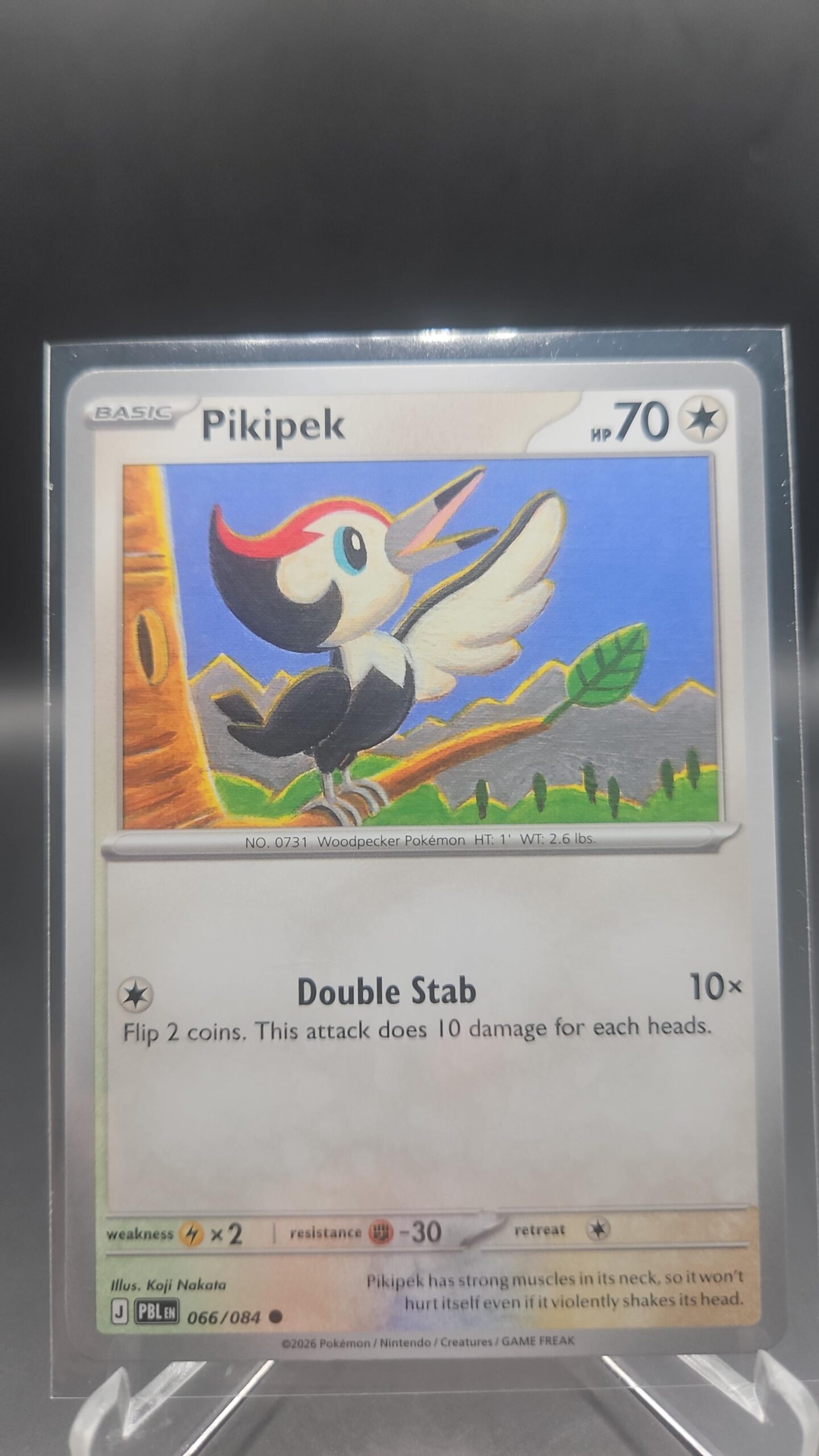 Pikipek 066/084 Base Common Pokémon card from the Mega Evolution Era Pitch Black ME05 set in Near Mint condition.